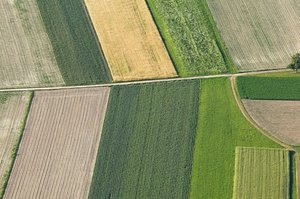 Ekologinių ūkių asociacija atideda planuotą mitingą