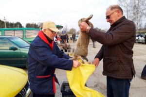 Kol dzūkai renka šmorškus ir sodzina būlbas, žvilgsnis – į turgaus kainas