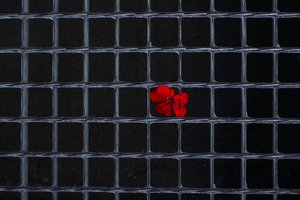 Maroke 10 metų kalėti nuteistas terorizmu apkaltintas šveicaras 