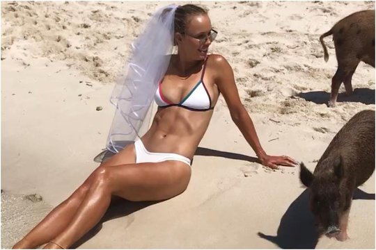 Tenisininkė C. Wozniacki publikavo mįslingą nuotrauką: ji su nuometu ir apsupta kiaulių