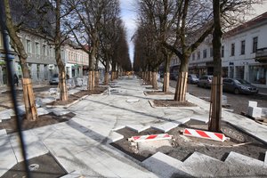 Naujo Laisvės alėjos įvaizdžio kūrėjas: „Kliūtys – kasdien“