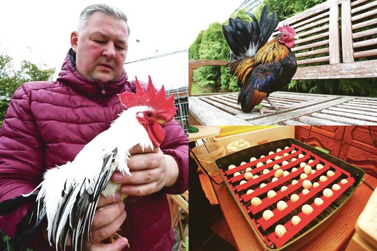 Kaunietis augina egzotinius paukščius, tarp jų – pelnęs Europos vicečempiono titulą