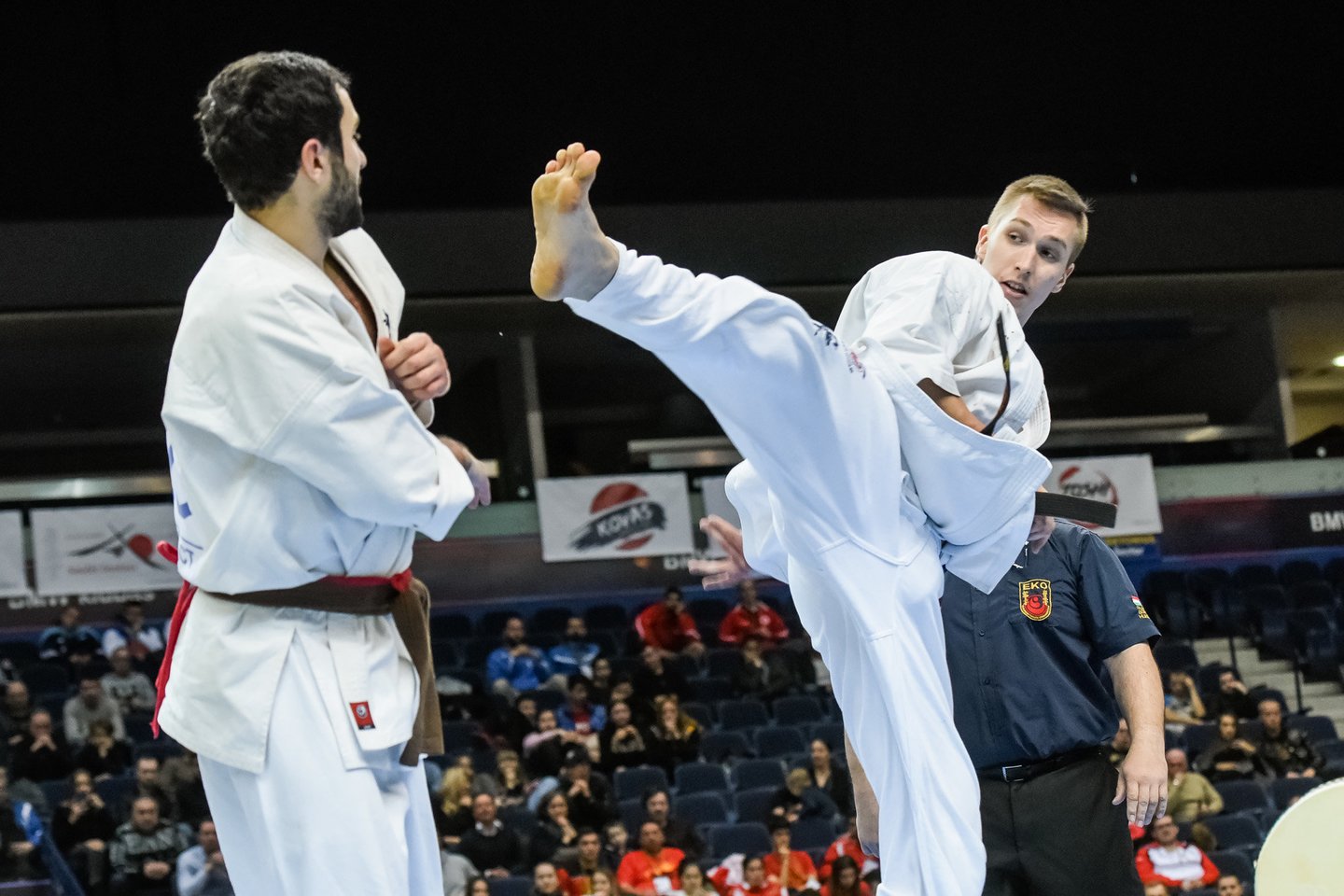 Europo kiokušin karatė čempionatas Vilniuje<br> D.Umbraso nuotr.