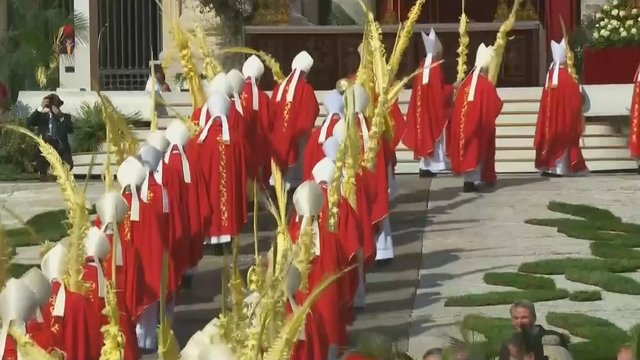 Popiežius palaimino palmių šakeles