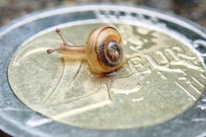 Ekspertė: jūsų klausimai apie kaupimą pensijai nėra kvaili