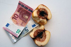 Siūloma kasmet po 10 proc. didinti valstybės remiamas pajamas