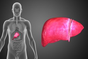 Kepenis žudo ne tik alkoholis: gydytoja įspėjo, kas joms kenkia ne mažiau