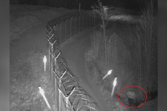 Kameros užfiksavo neeilinį vaizdą: į vandens pralaidą lindęs vyras sukėlė įtarimų