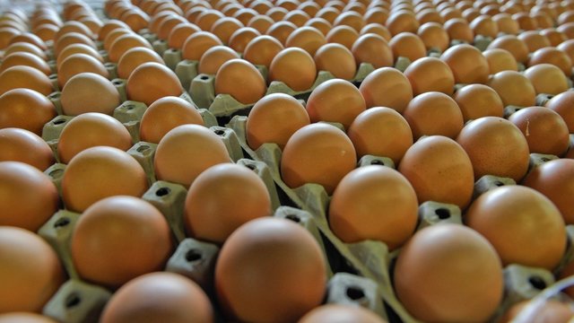Palyginome kainas: štai kur ieškokite pigiausių kiaušinių ir kitos Velykinės atributikos