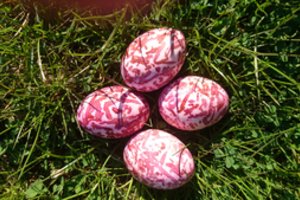 Šis natūralus kiaušinių marginimo būdas keri paprastumu