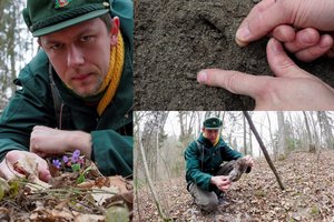 Miškininkas parodė, ką įdomaus galite pamatyti natūraliame miške
