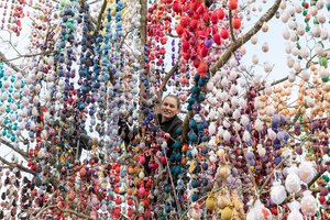 Švėkšnos žmonės nusitaikė į naują rekordą – Velykų medį puošia 32 tūkstančiai margučių