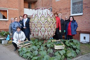 Šakiuose prie daugiaaukščio pūpsantis margutis traukia praeivių akį