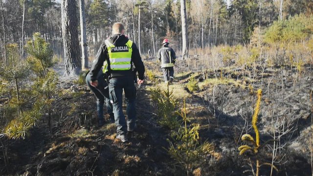 Vaizdai iš gaisro Klaipėdos r.: radinys miške atėmė žadą – aptiko įtariamųjų pėdsakų