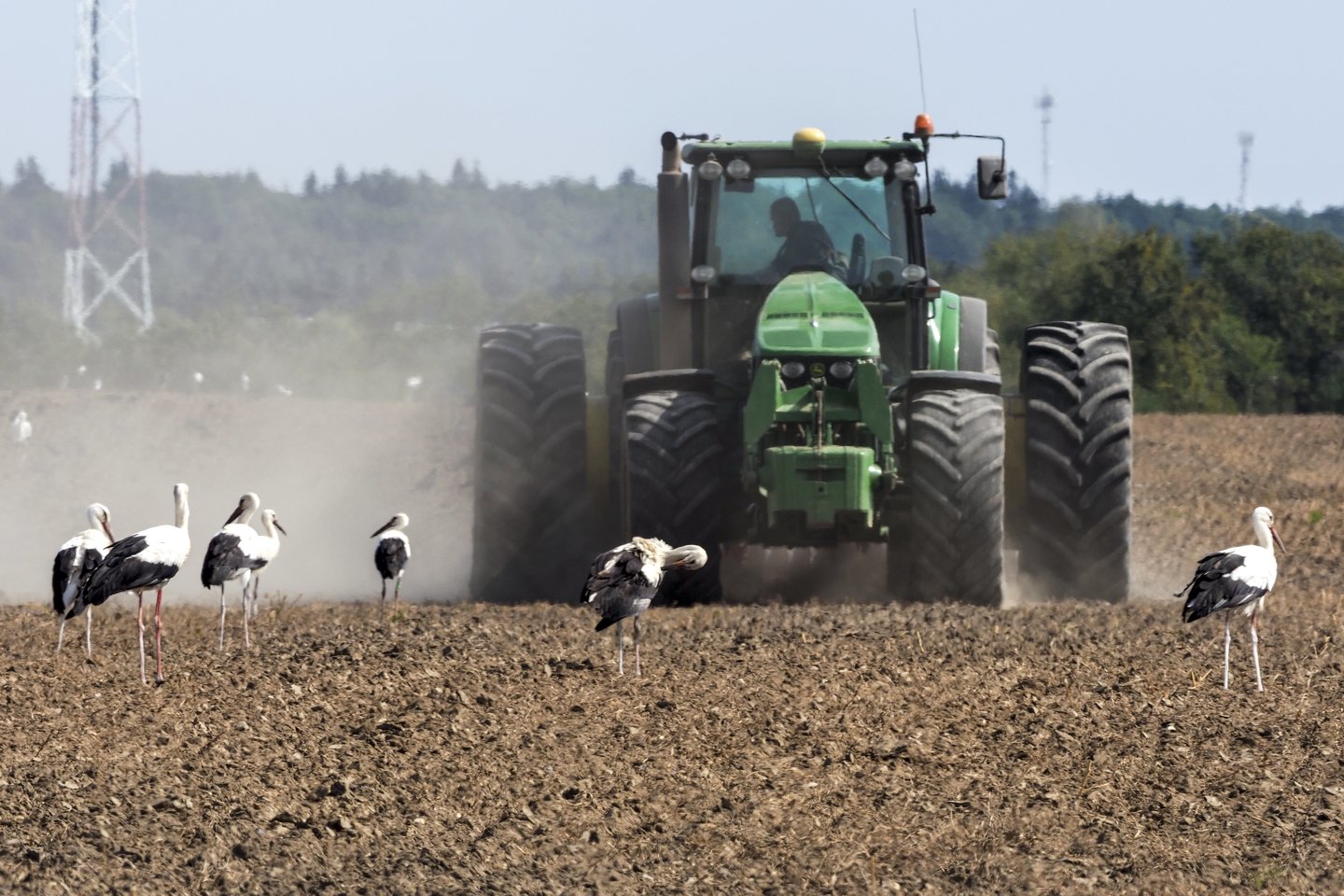 Ūkininkai atsargiai vertina plėtros planus: nelinkę iškart pirkti naujos žemės ūkio technikos, vis dažniau atsigręžia į jos nuomą.<br>V.Ščiavinsko nuotr.