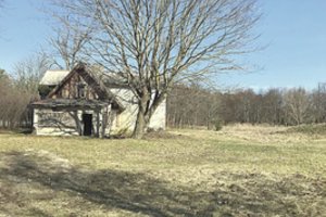 Aferistai tabu neturi:  Palangoje sumanė pusvelčiui įsigyti svetimos žemės  naujoms statyboms 