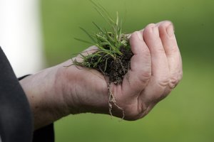 Ekologiniams ūkiams – daugiau pasirinkimo galimybių