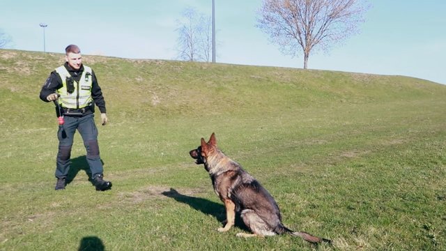 Policijos kinologai atskleidė keletą paprastų gudrybių, kaip auklėti šunį