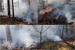 Lietuvą niokojo gaisrai: pasieniečiai kėlė sraigtasparnį, po įspėjimo iš Baltarusijos – puiki žinia 