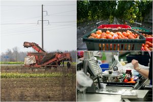 Vasariški orai kelia nerimą ūkininkams – jau kalba apie grėsmę kilti kainoms