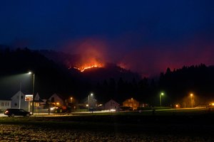 Gaisrai siaučia ne tik Lietuvoje: vaizdai iš kitų šalių pribloškia