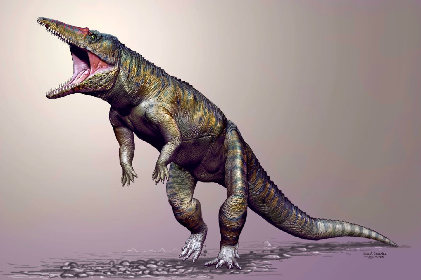  Prieš pasaulį užvaldant dinozauramsdabartinės Šiaurės Karolinos valstijos teritorijoje siautėjo dvikojai, beveik 3 metrų ilgio krokodilų protėviai Carnufex carolinensis.<br> Jorge Gonzales pieš.