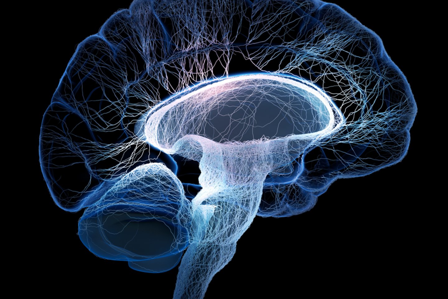  Tiriamiesiems mokslininkė atliko galvos smegenų skenavimą irpritaikė skaitmeninį vaizdų vertinimo metodą.<br> 123RF nuotr.