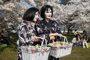 Tarp sakurų žiedų skambėjo japonų ir lietuvių liaudies dainos