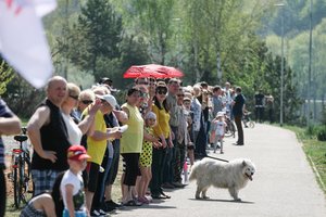 Šančių gyventojai sukilo – nenori naujos gatvės panemunėje