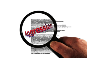 Wikipedia – laisvoji encikopedija, kurioje iškraipoma Lietuvos istorija