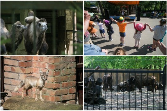 Sezoną pradedančiame Zoologijos sode – didžiųjų permainų laukimas 