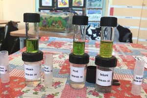 Tai bent pradinukės: penkis mėnesius po pamokų tyrė tai, kas labai svarbu jų miesteliui