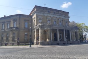 Salono liūte praminta grafienė paliko rūmus bibliotekai