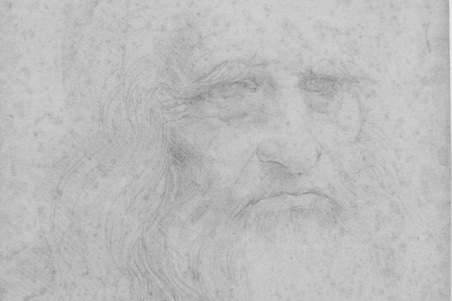 Leonardo da Vinci.<br>Scanpix/REX nuotr.