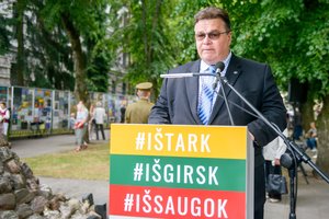 Lietuvai rengiantis minėti narystės ES 15-ąsias metines L. Linkevičiaus perspėjimas