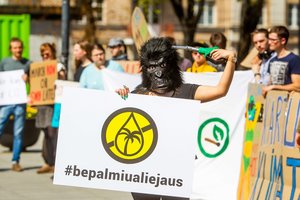 Vartojate produktus su palmių aliejumi? Dėl to kasdien išnyksta šimtai gyvūnų rūšių