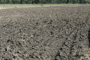 NMA tikrina, kaip paramos siekiantys ūkininkai laikosi įsipareigojimų