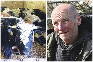 Šalia Marijampolės – koncentracijos stovykla: nuosprendis už ypatingą žiaurumą vyro nenuliūdino