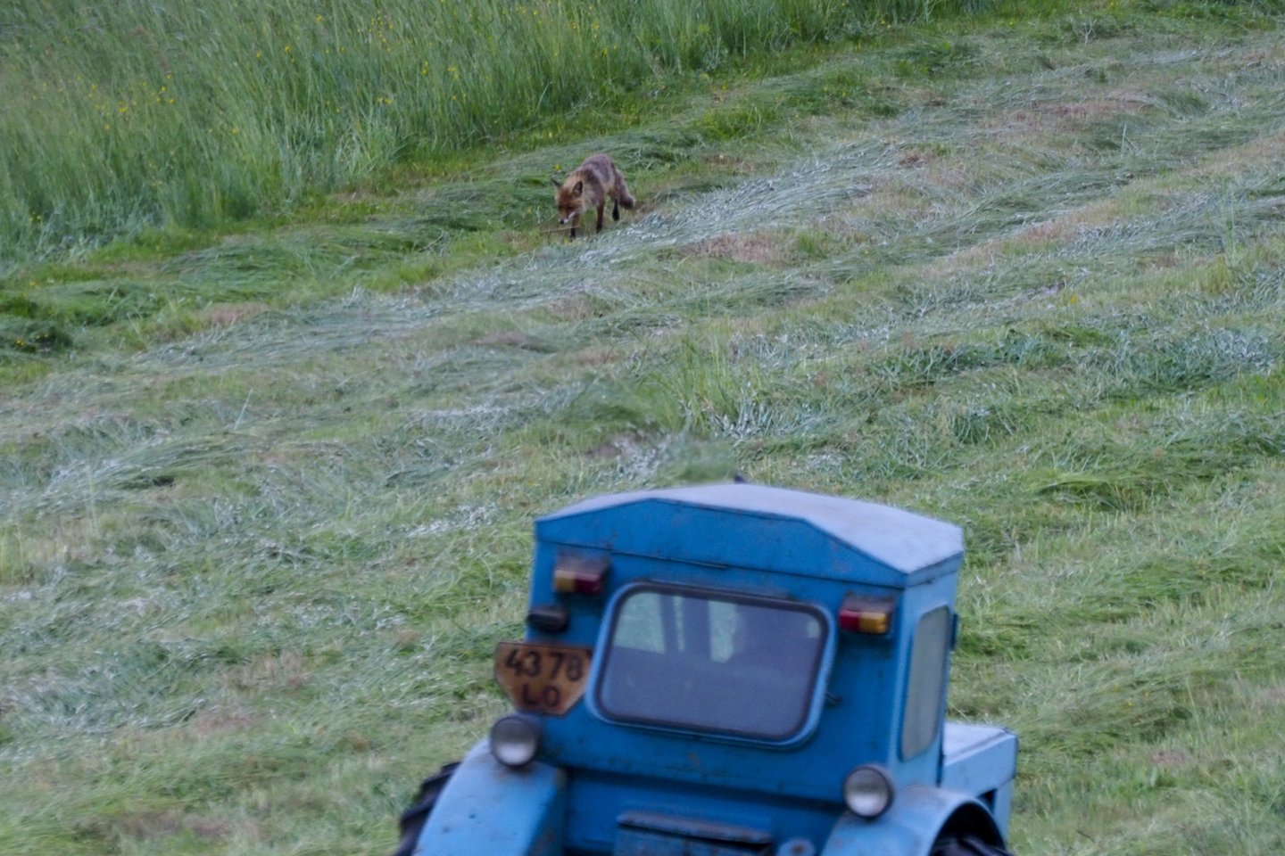 Traktoriaus pavogti nepavyko.