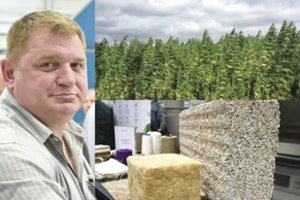 Kanapių augintojai džiaugiasi: kaina stiebiasi lyg ant mielių