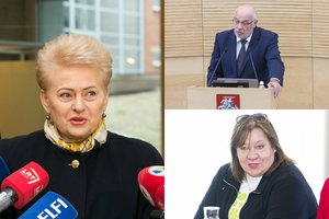 Įvertino D. Grybauskaitę: pasigedo nuomonės svarbiais klausimais, pritrūko atvirumo