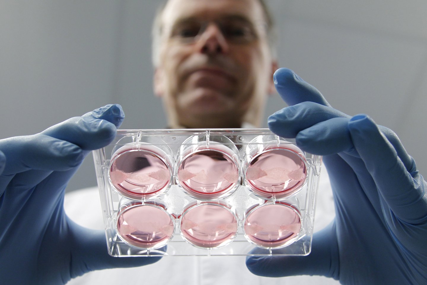  Fiziologijos profesorius M.Postas iš Nyderlandų jau prieš šešerius metus pristatė savo pirmąjį „kepsnį in vitro“ JAV surengtoje degustacijoje. <br>„Reuters“/„Scanpix“ nuotr. 
