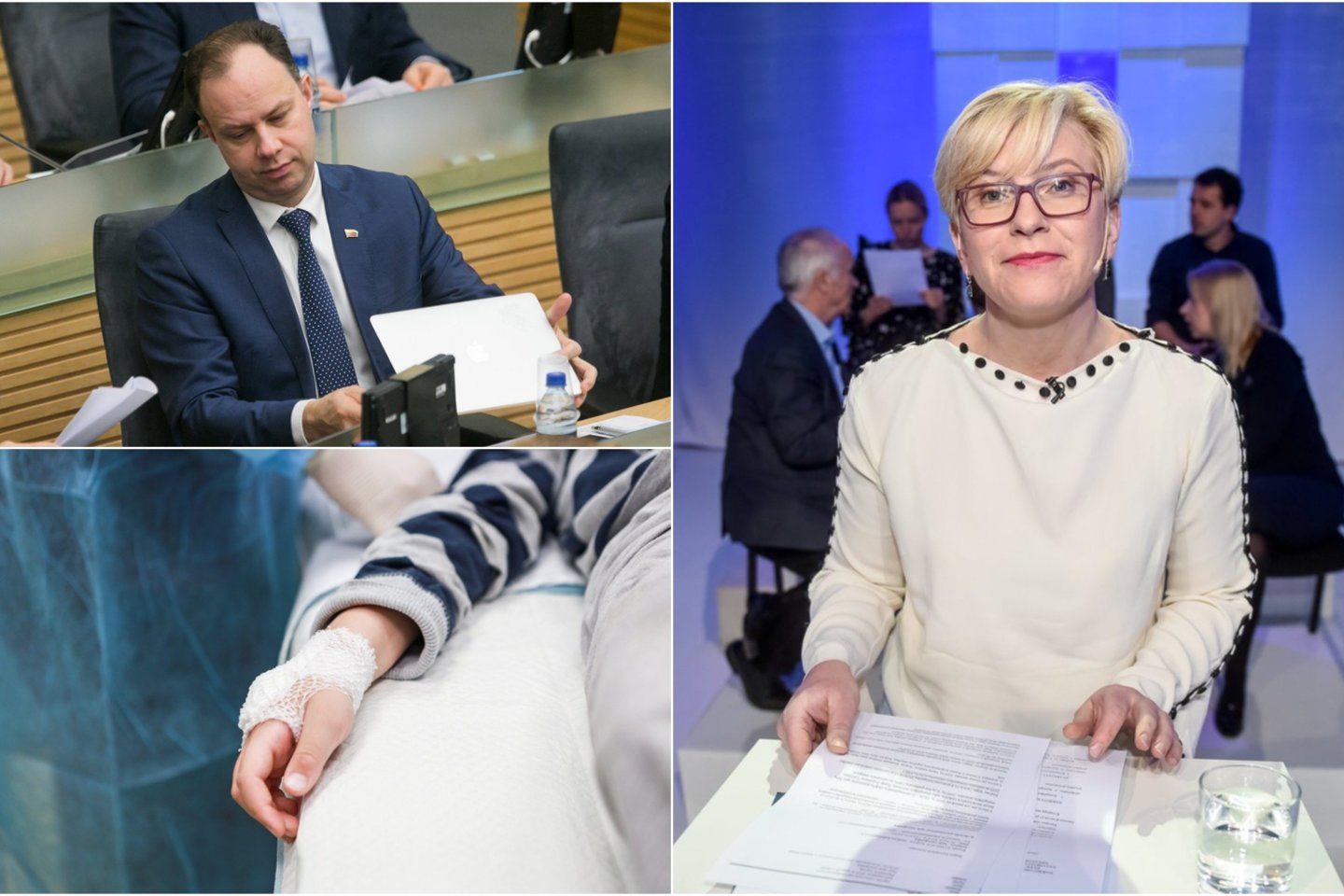Pirmadienį I.Šimonytė surengė spaudos konferencija „Lietuvos visuomenės amžėjimas – iššūkiai valstybei ir sveikatos bei socialinei sistemoms“.