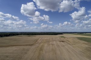 Ūkininkus pasieks 16,4 mln. eurų žalinimo išmokų