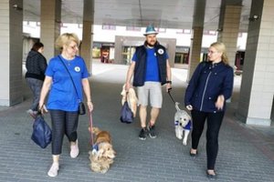 Vienoje didžiausių šalies ligoninių – netikėta naujovė, padedanti greičiau sveikti