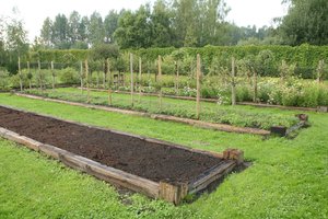 Daržo gėrybės – po ranka: keturių asmenų šeimai tam pakanka vos pusantro aro