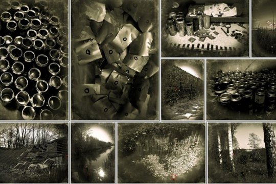 Fotoaparatai medžiuose, ant tiltų ir lietvamzdžių panevėžiečiui pelnė pasaulinę šlovę