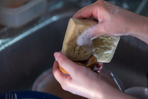 Pusė minutės – per tiek laiko tobulai išvaliau riebaluotą indų plovimo kempinę