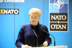 D. Grybauskaitė: tikiuosi, kad mūsų naujai išrinkti europarlamentarai bus aktyvūs ir nemiegos susėdę