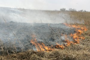 Draudikai: nuo gamtos sąlygų priklausomas žemės ūkis patiria vis daugiau žalų